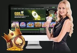jj804 Sportsbook